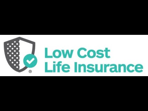 Low Cost Life Insurance Business Model